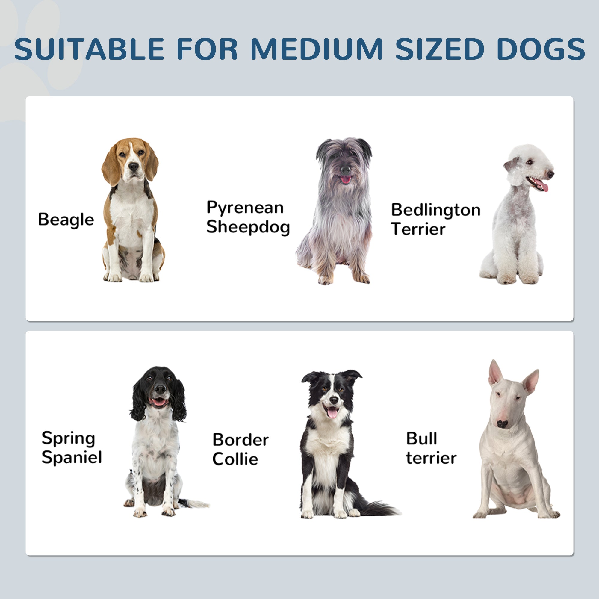 Conteneur de stockage pour nourriture pour animaux, station d’alimentation pour chien avec panneau réglable et crochets, pour chiens de taille moyenne, blanc