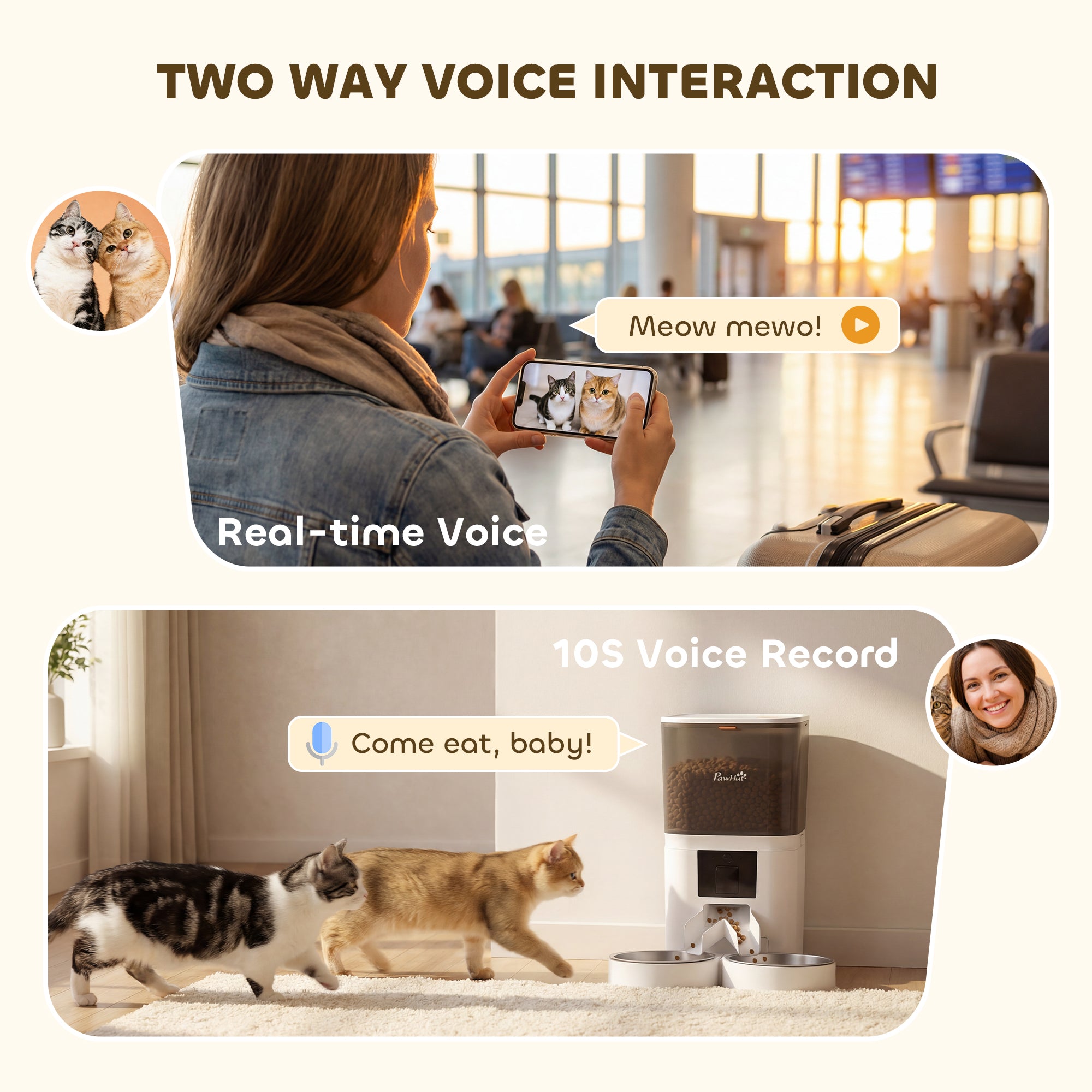 Automatic Cat Feeder for 2 Cats, 2.4G WiFi Pet Food Dispenser 6L APP Control