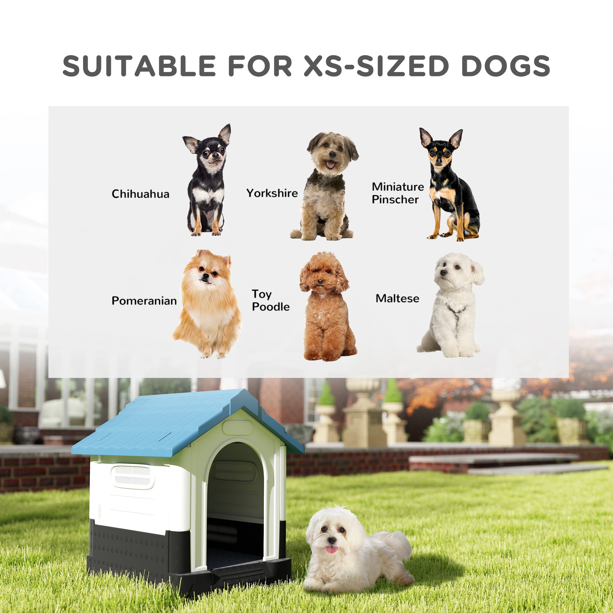 Niche extérieure pour chien avec fenêtres et support de base, pour jardin ou patio, petits chiens, 64,5 x 57 x 66 cm, bleue