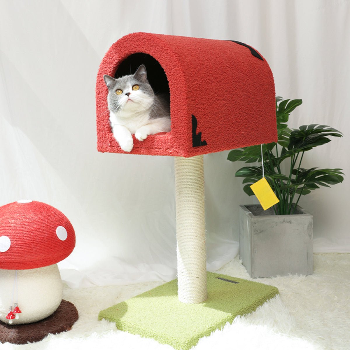 Mailbox Red Climbing Frame Cat Tree-Living-DECOROLALA