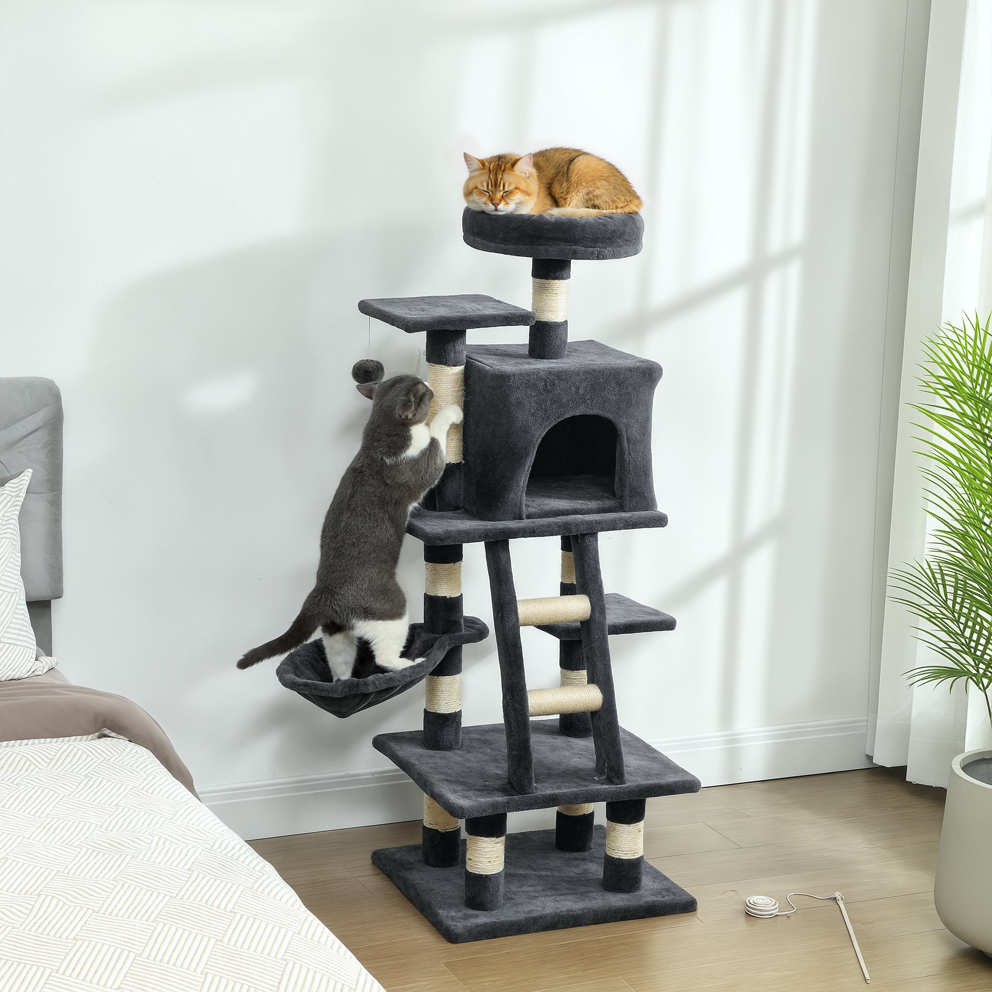 52 Inch Large Cat Tree for Indoor Cats, Dark Grey