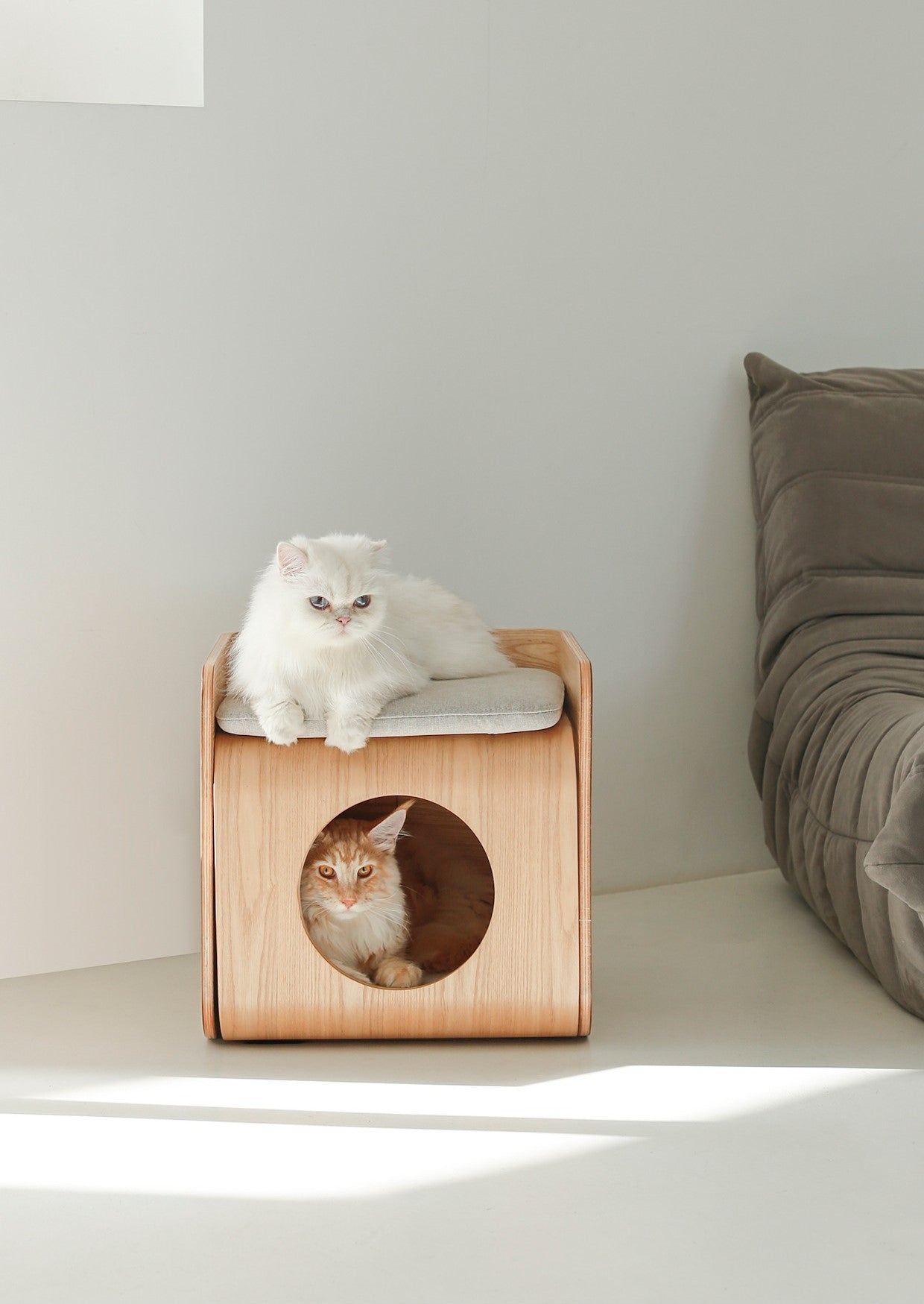 Natural Wood Cat Bed House-Living-DECOROLALA