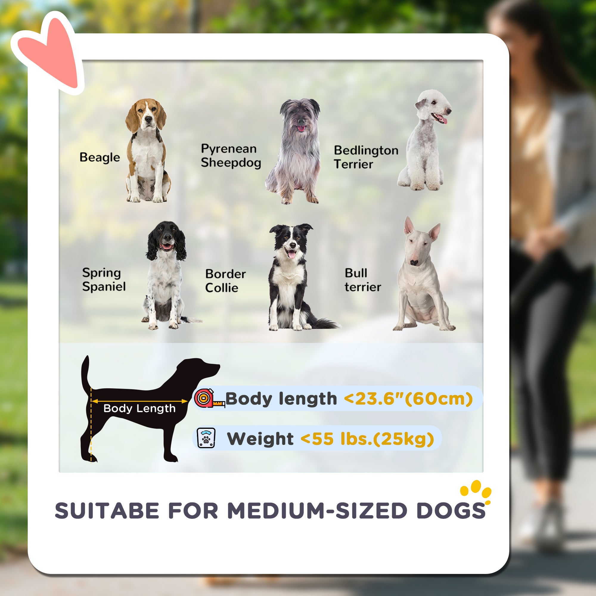 Foldable Pet Stroller for Medium Dogs with Four Big Wheels, Shock-Absorbing Frame, Safety Leashes, Brakes, Dark Green