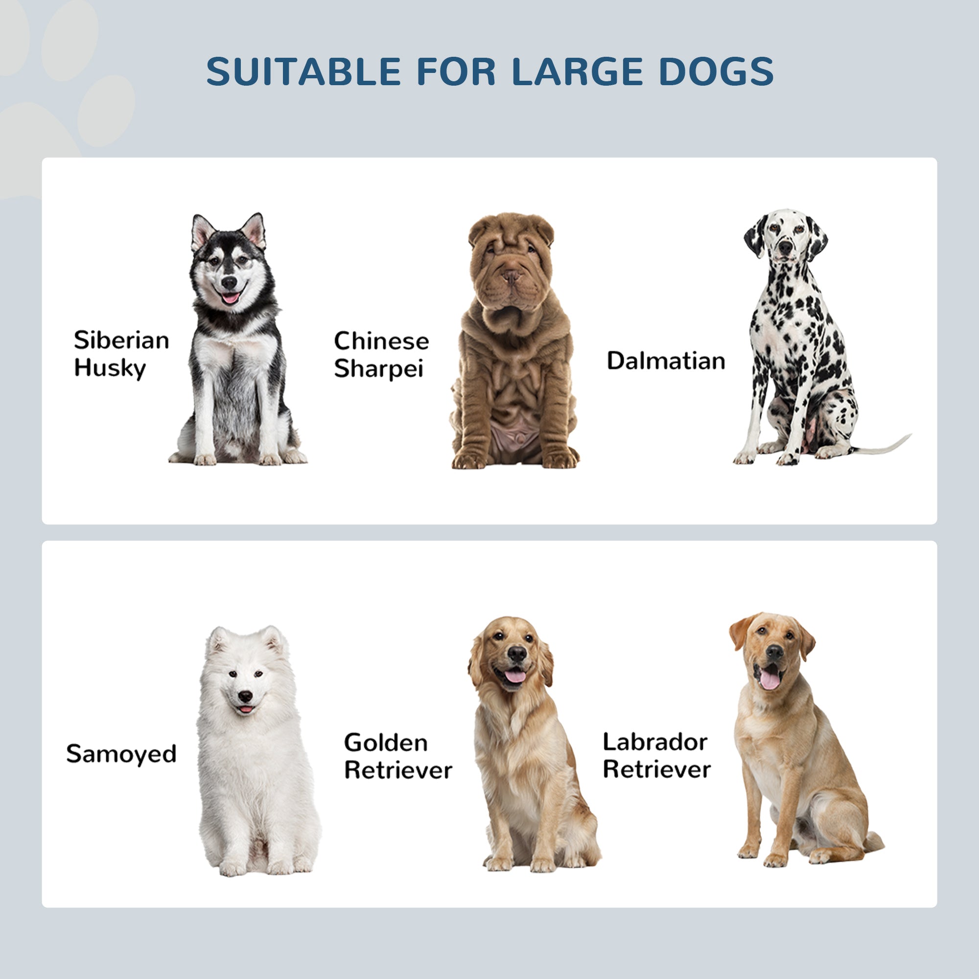 Gamelle surélevée pour grands chiens, station d’alimentation pour animaux avec support et rangement, 2 gamelles en acier inoxydable pour la nourriture et l’eau, blanche, 23.6" x 11.8" x 14"