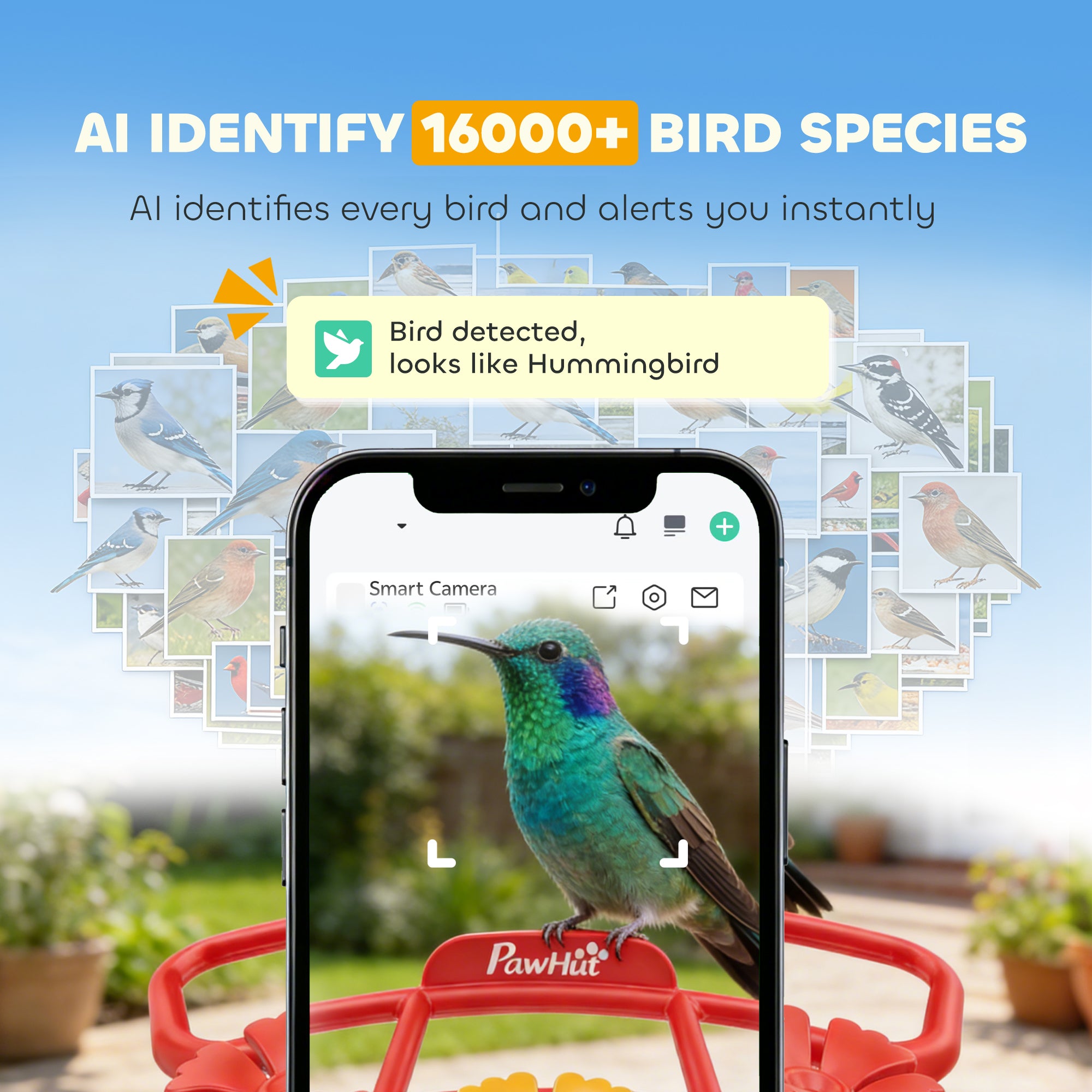 Smart Bird Feeder with Camera, AI Identify 16000 Birds, 2K HD Live Video, 3W Solar, Instant Arrival Alerts