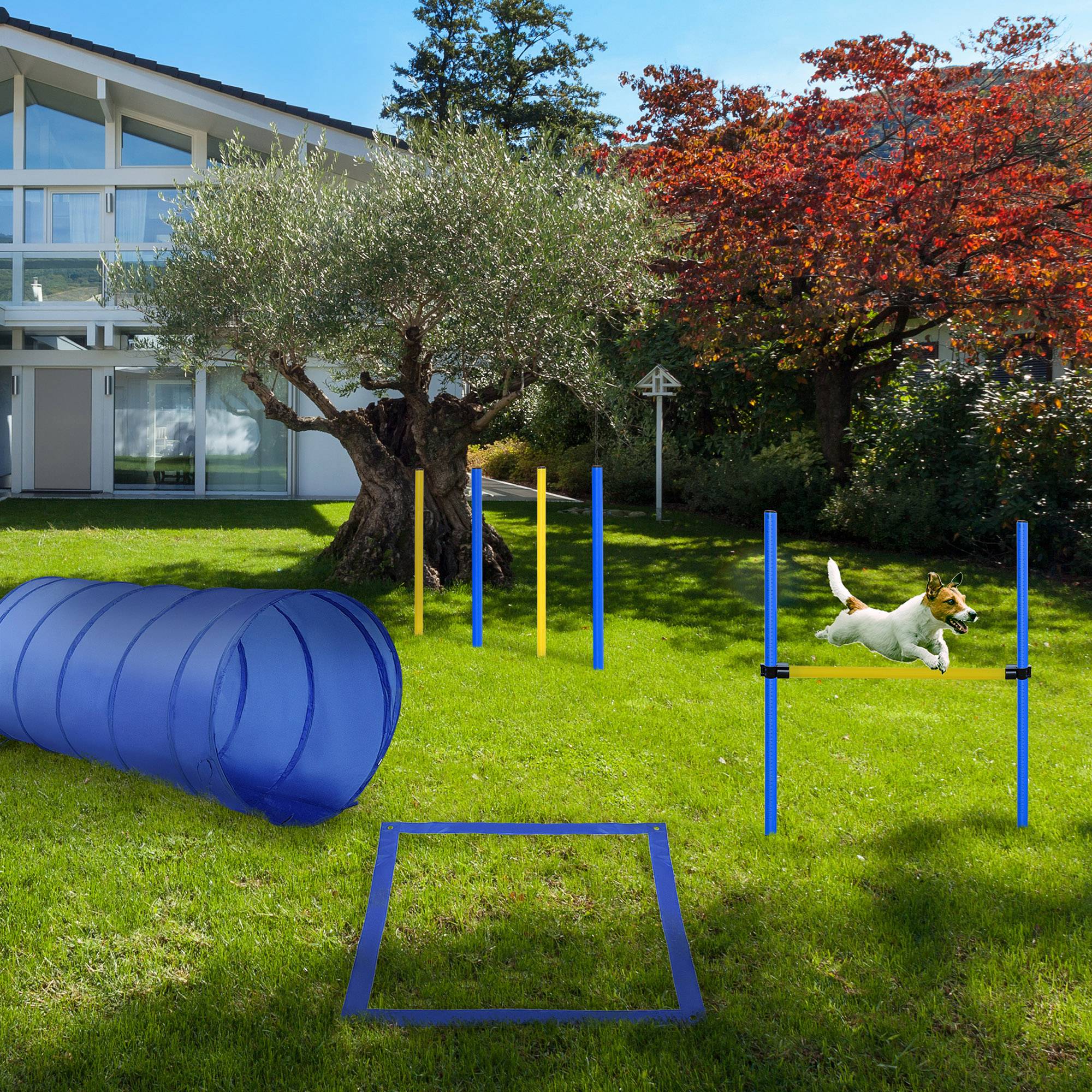 Kit de démarrage d’agilité canine, ensemble d’entraînement et d’exercice en extérieur pour animaux de compagnie