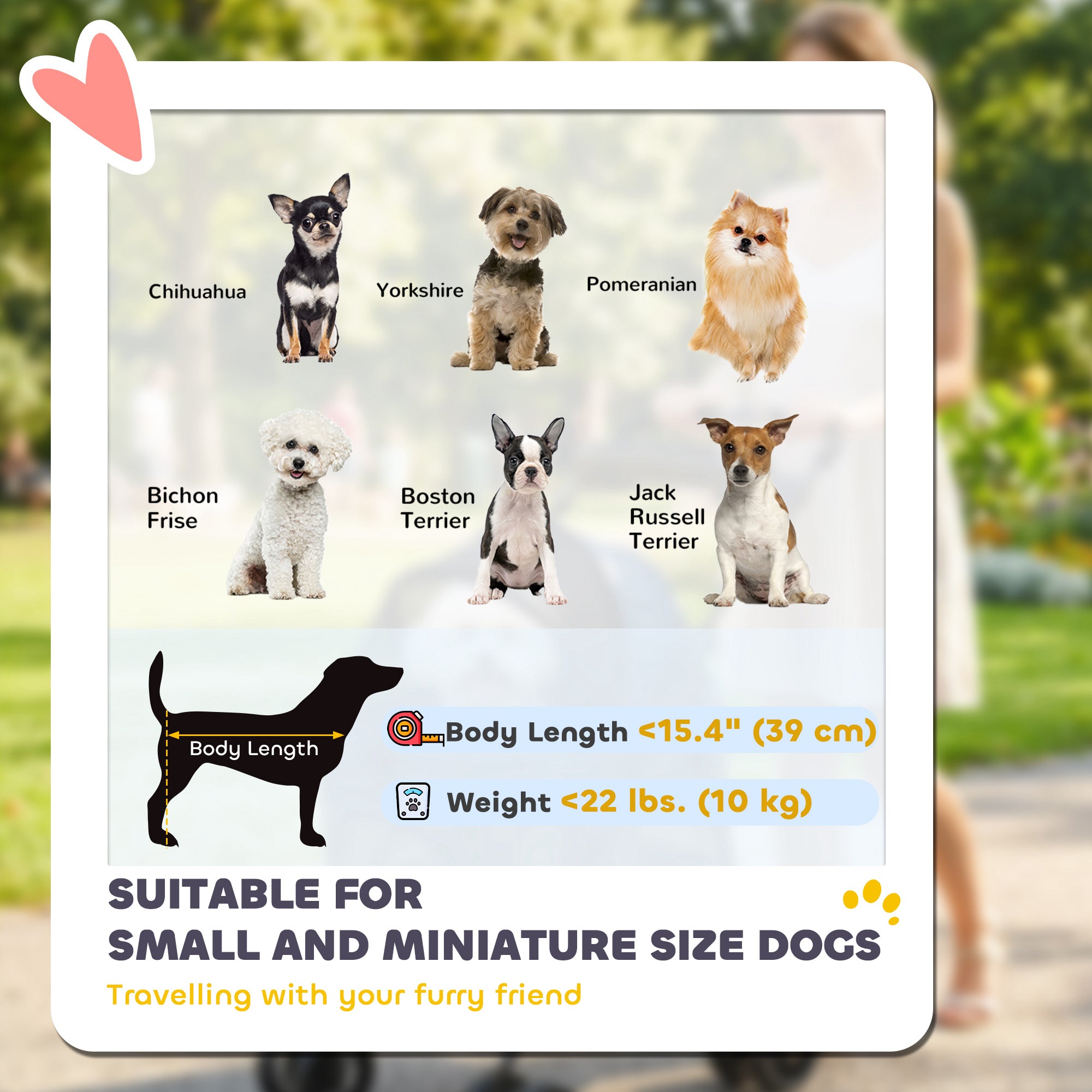 Double Pet Stroller, Foldable Dog Stroller with 2-Seater Carrier, Sunshade, Removable Pad, Safety Belt, Storage Basket