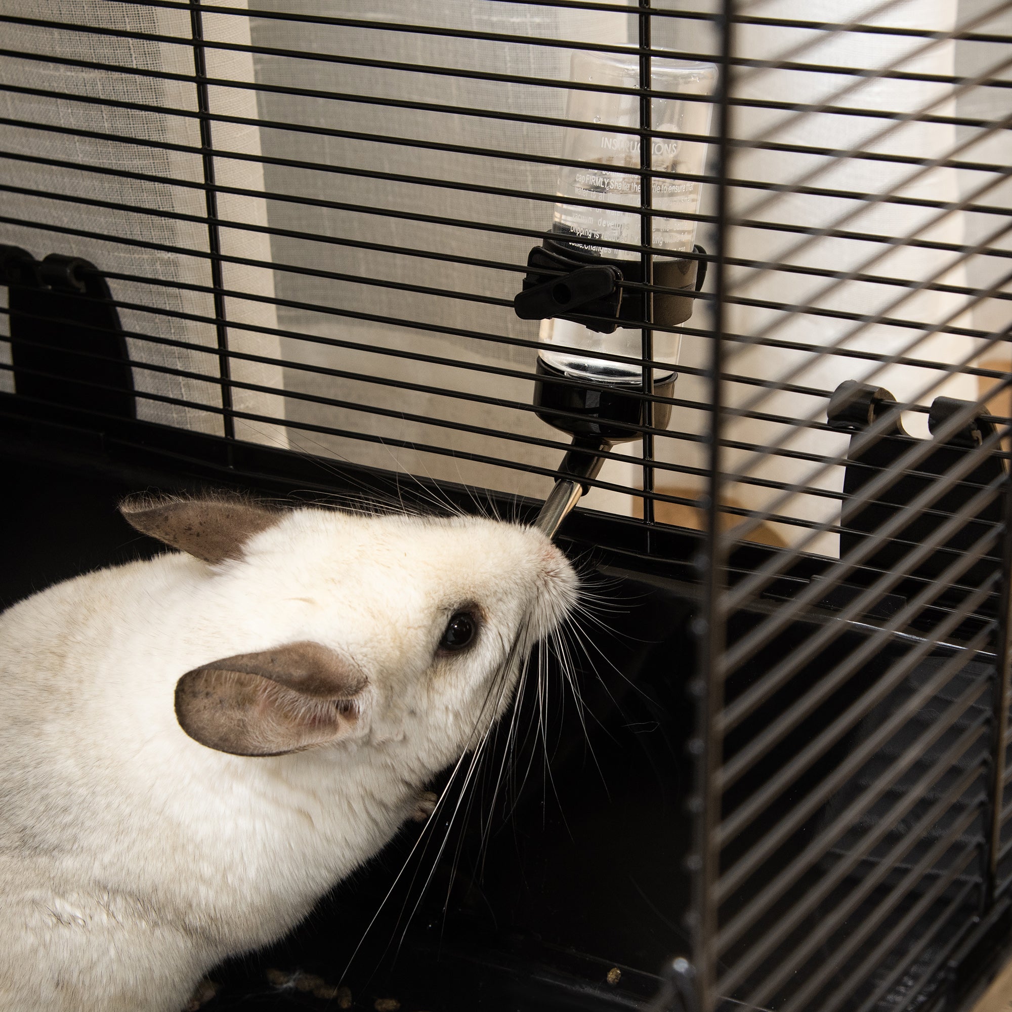 Cage à hamsters à 3 niveaux, cage pour cochons d’Inde, maison de jeu intérieure pour chinchillas avec accessoires : gamelle, biberon, rampes, 31.5"x19"x 23", noire