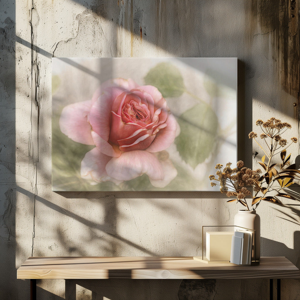 smooth rose-Canvas Print-DECOROLALA
