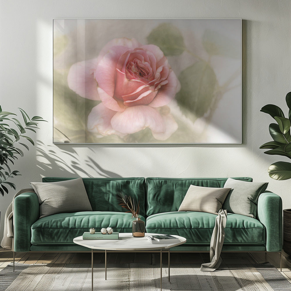 smooth rose-Canvas Print-DECOROLALA