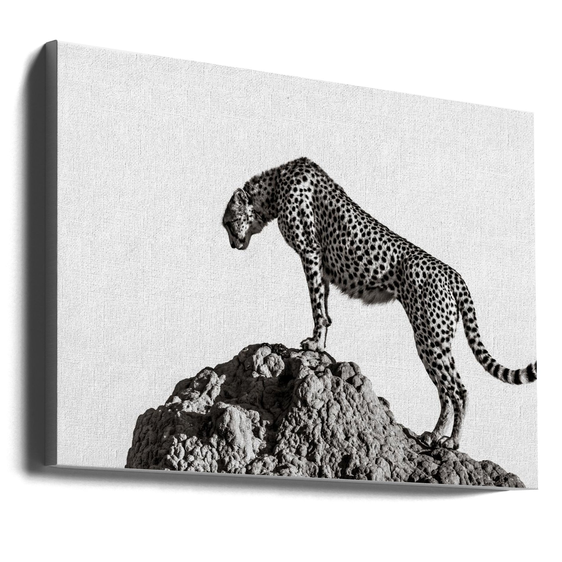 the hunter-canvas-DECOROLALA
