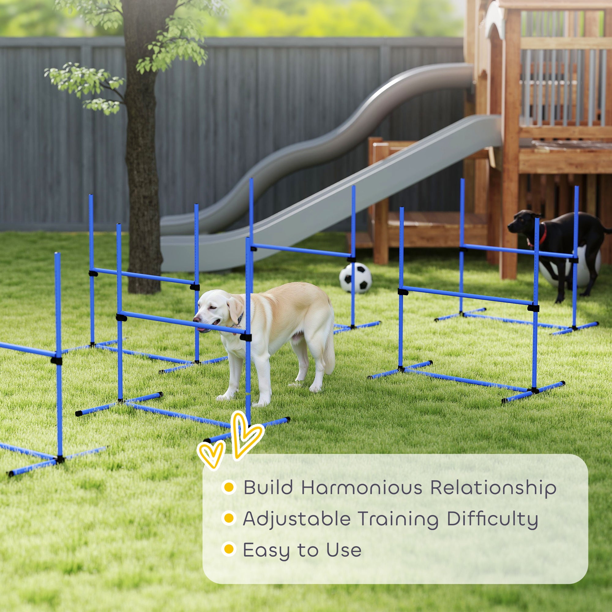 Ensemble de 6 équipements d’entraînement d’agilité pour chiens, barre de saut réglable, kit d’exercice pour animaux avec sac de transport (bleu)
