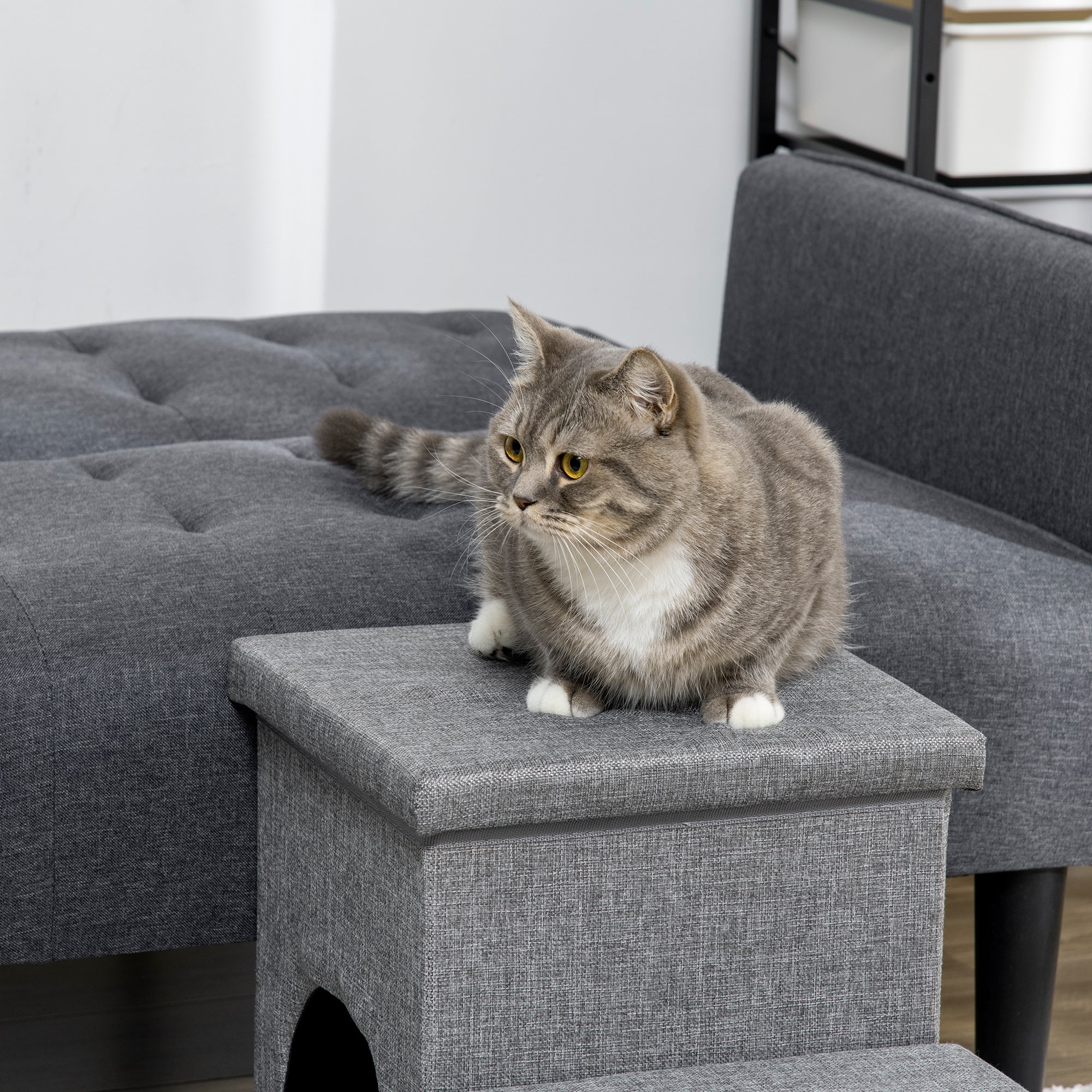 Dog Ramp with Storage Boxes and Condo, 3-step Pet Stairs for High Beds and Couch with Washable Plush Cushion