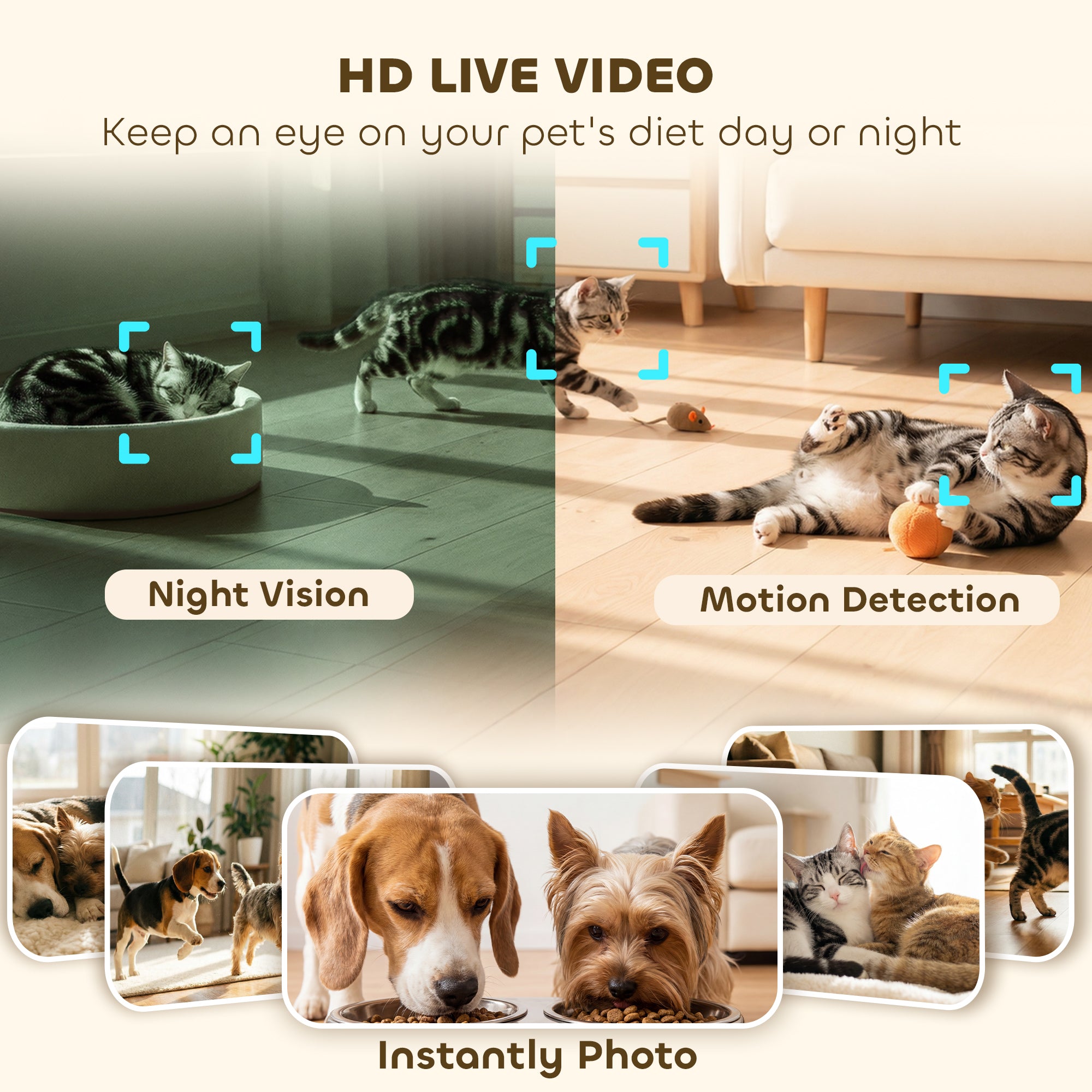 Distributeur automatique de nourriture pour 2 chats avec caméra HD, Wi-Fi 2,4G et 5G, capacité de 6 l, contrôle par application
