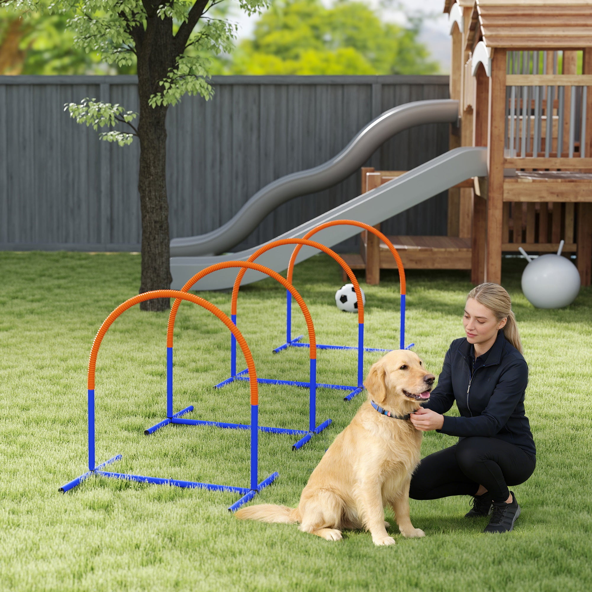 Dog Agility Training Equipment, 4 PCS Obstacle Course with Carrying Bag for Old Dogs, for Backyard, Outdoor, Blue