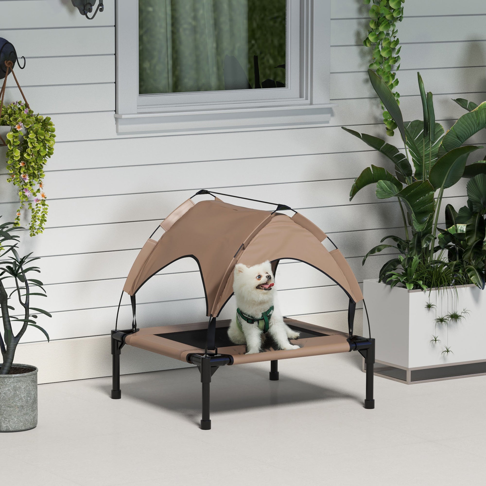 Lit surélevé rafraîchissant pour chien avec auvent, tissu maillé lavable et respirant, pour chiens de petite et moyenne taille, café